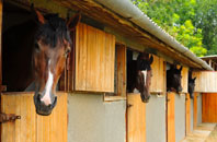 free Preston On Stour stable construction quotes